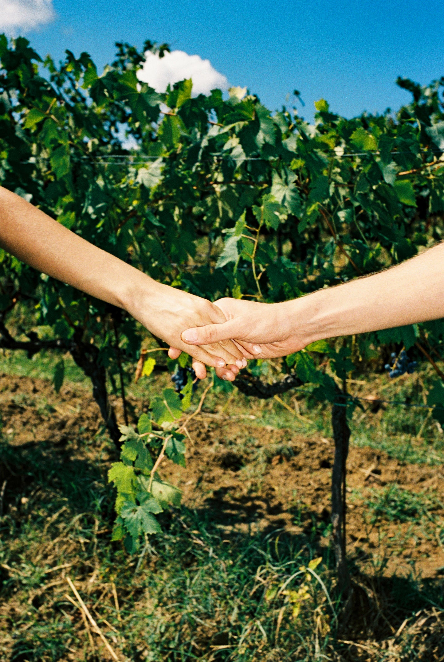 Camporella Extrait de Parfum