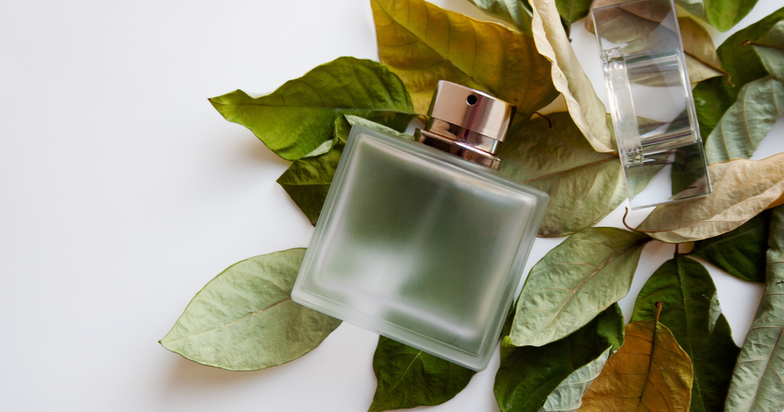 A clear fougere perfume bottle laying on a bed of leaves against a white background.