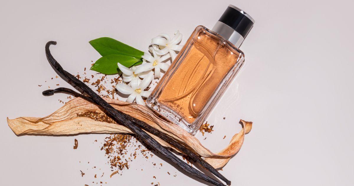 Vanilla Fragrances: Comforting, Creamy, and Surprisingly Versatile
