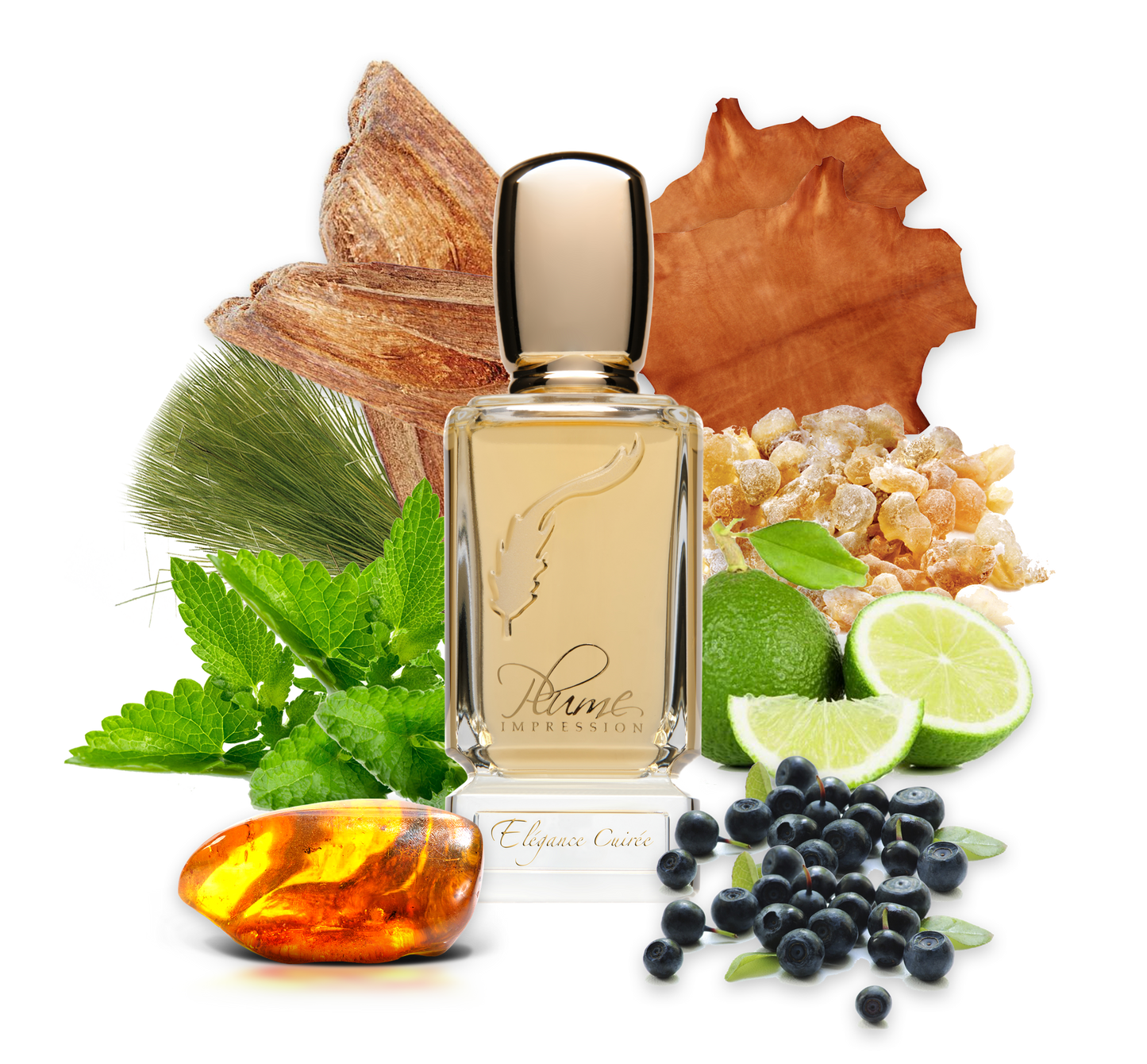 Elegance Cuiree Eau de Parfum