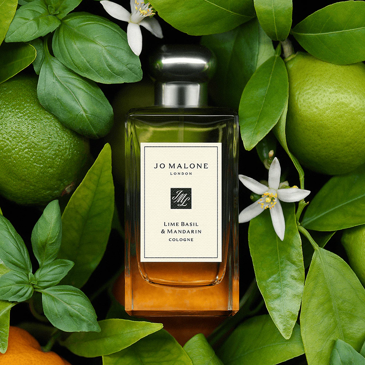 Jo Malone London Lime Basil & Mandarin Fragrance | Cologne – So Jo Malone London Lime Basil & Mandarin Fragrance | Cologne – So